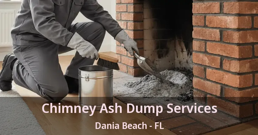 Chimney Ash Dump Services Dania Beach - FL