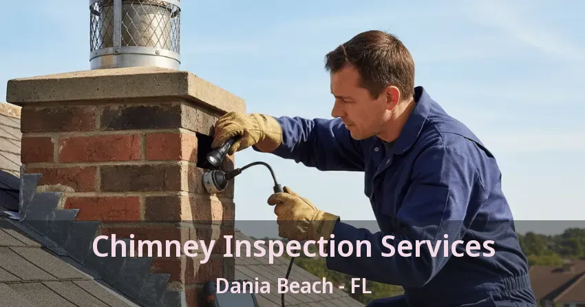 Chimney Inspection Services Dania Beach - FL