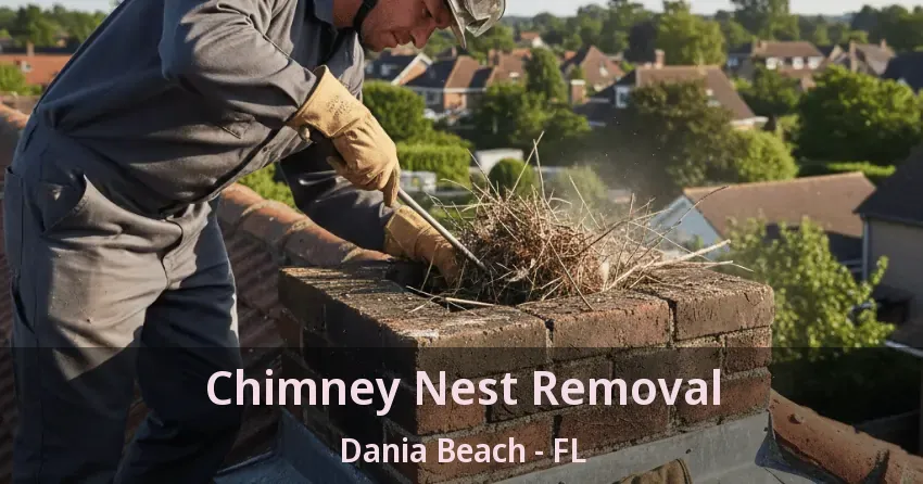Chimney Nest Removal Dania Beach - FL Chimney Nest Removal Dania Beach - FL