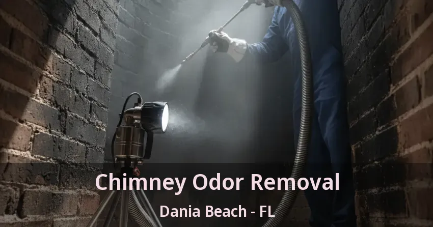 Chimney Odor Removal Dania Beach - FL