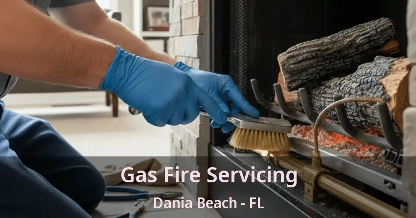 Gas Fire Servicing Dania Beach - FL