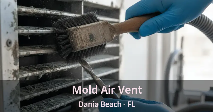 Mold Air Vent Dania Beach - FL