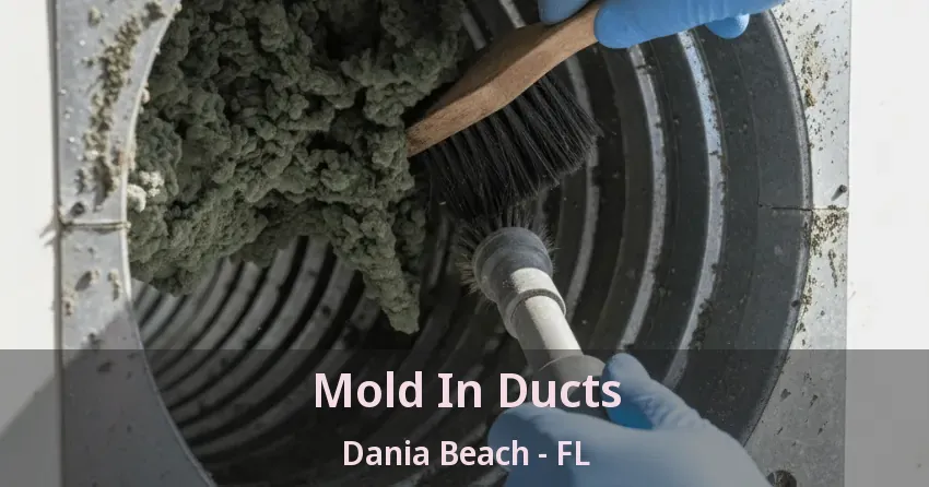 Mold In Ducts Dania Beach - FL