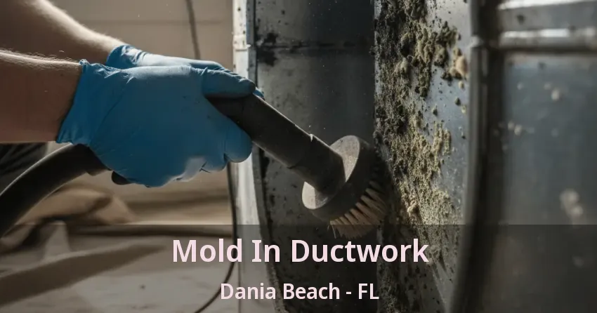 Mold In Ductwork Dania Beach - FL