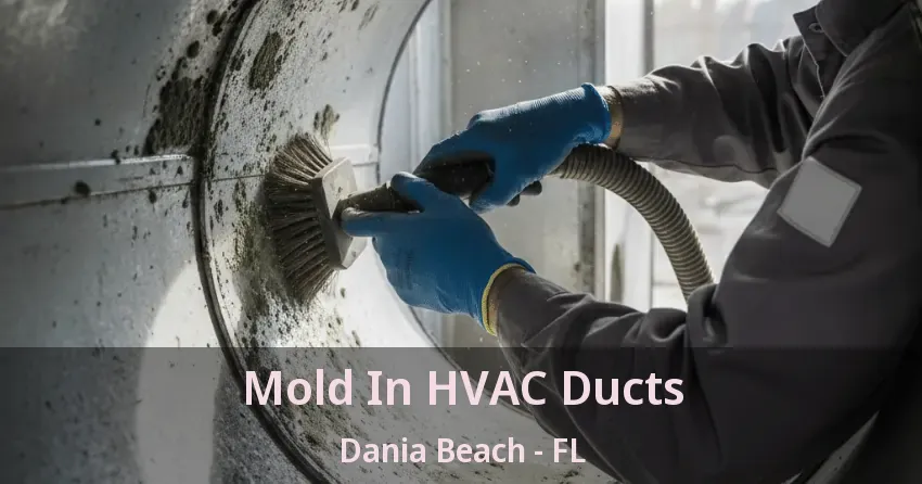 Mold In HVAC Ducts Dania Beach - FL